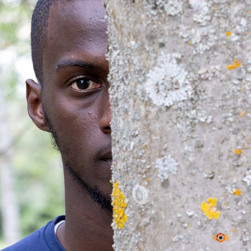 l'intensité d'un regard derrière un arbre