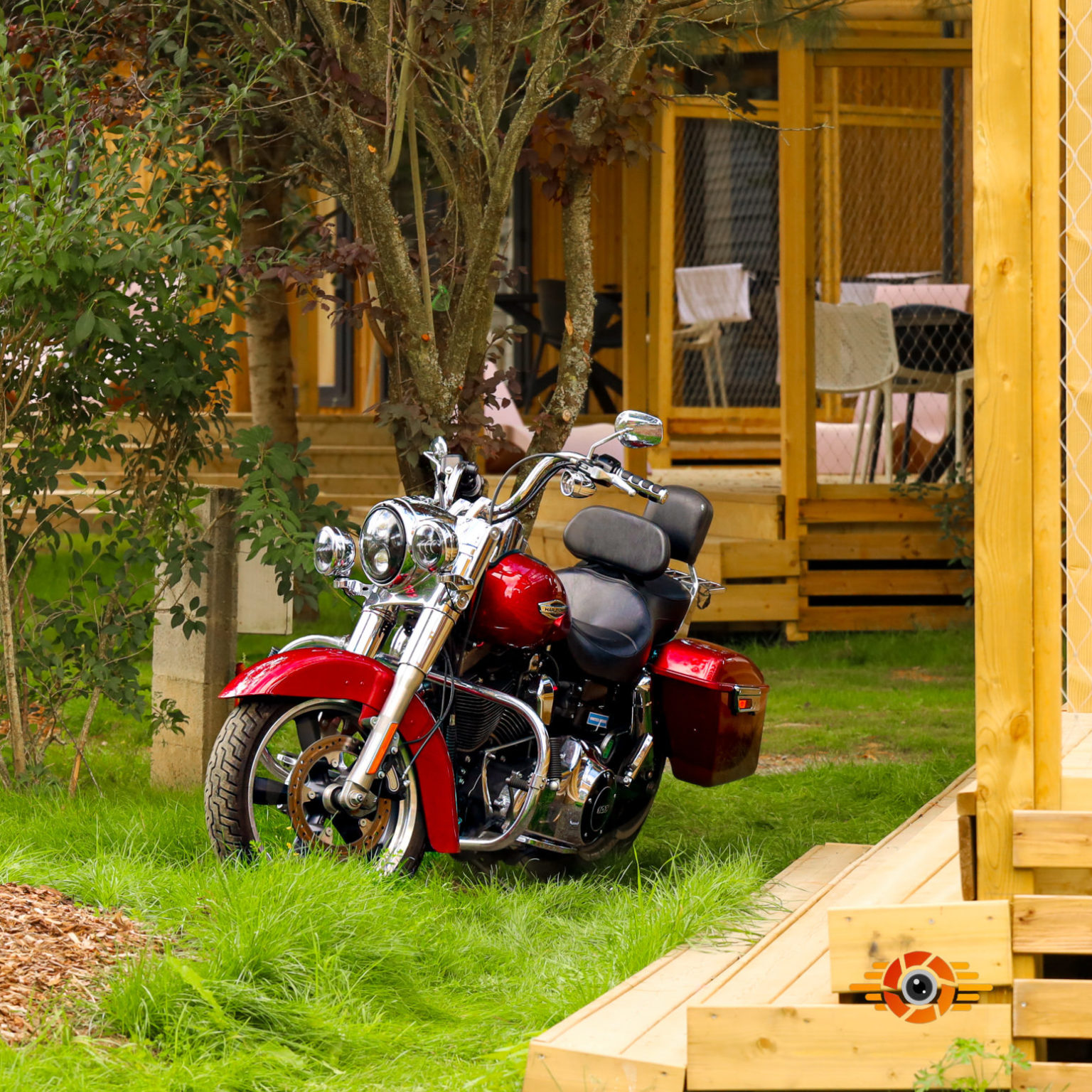 Une harley davidson prise en photo dans un environnement de nature